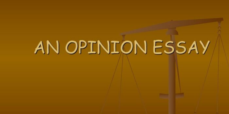 Opinion essay là gì?