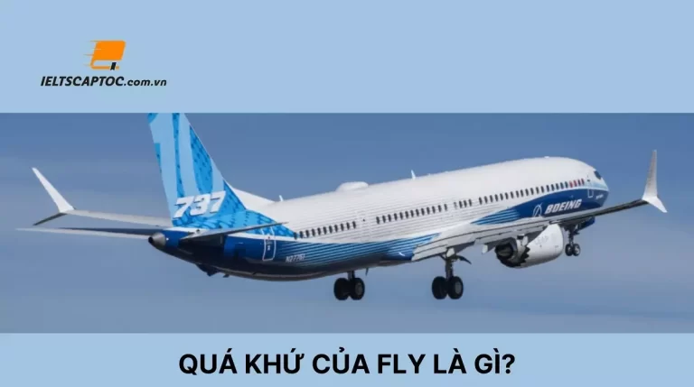 Quá khứ của Fly là gì