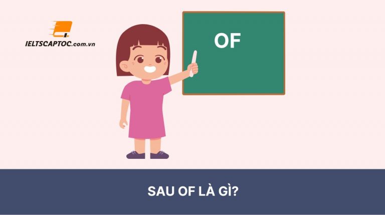 Sau of là gì? Cách dùng giới từ of chuẩn nhất trong Tiếng Anh