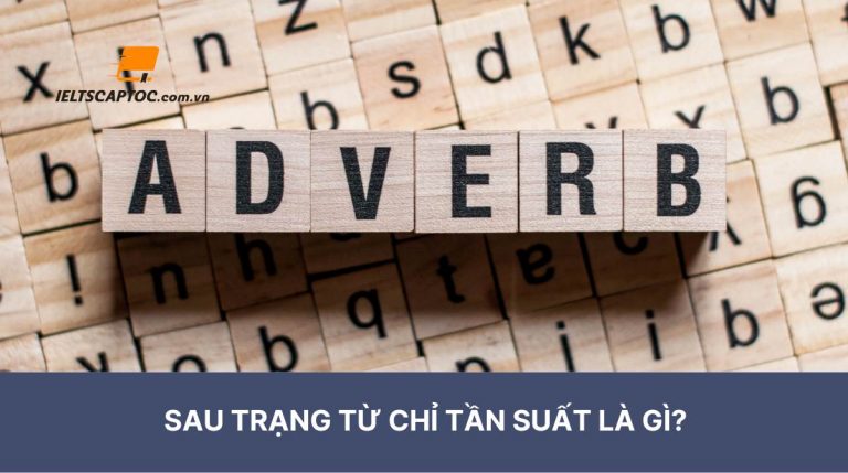 Sau trạng từ chỉ tần suất là gì?