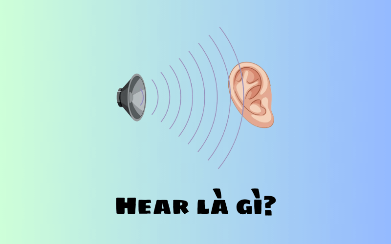 Hear là gì?
