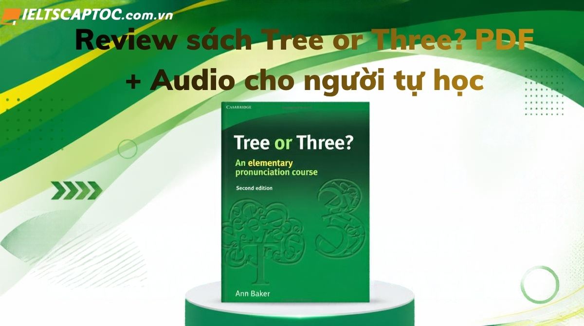 Trang chủ 20 Review sách Tree or Three? PDF + Audio cho người tự học